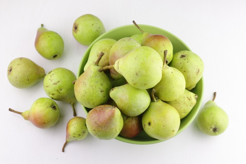 Грушевый сок на зиму через соковыжималку